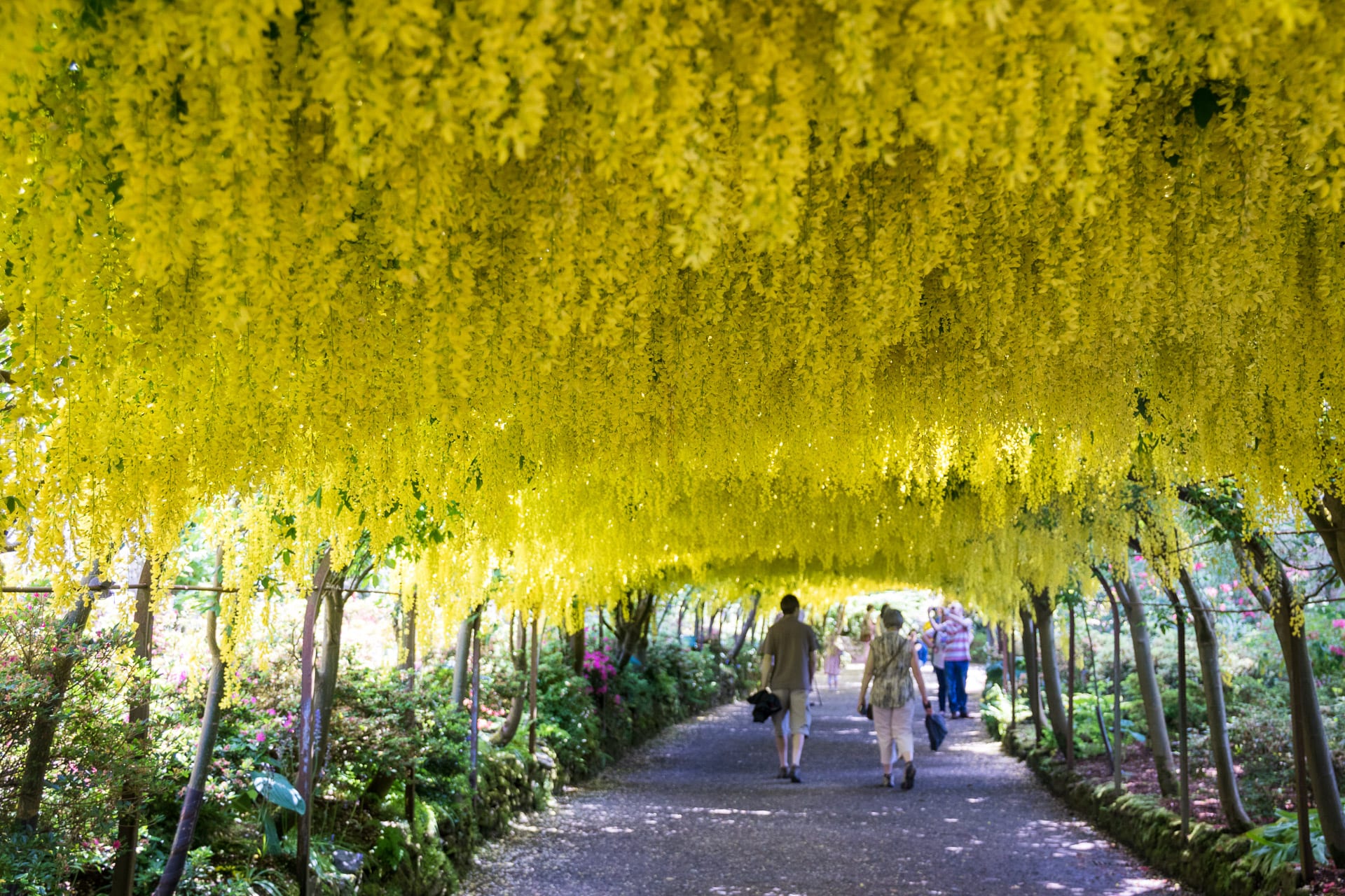Wales podruhé, část čtvrtá