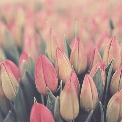 #MDŽ2020 aneb inspirativní ženy